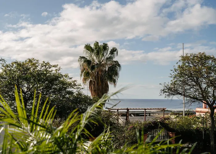 Savoy Monumentalis Your In Madeira Island Appartamento Funchal (Madeira)