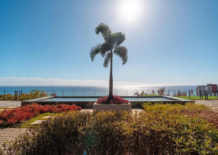 Savoy Monumentalis Your In Madeira Island פונשל